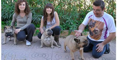 La Familia de Rosa Dorada Bulldog frances en villamarchante- Valencia