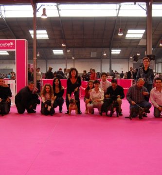 amigos criadores de otras ciudades de españa